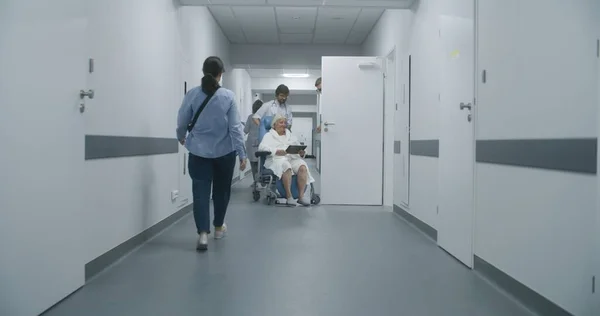 Médicos Profissionais Transportam Pacientes Idosos Cadeira Rodas Para Sala Médica — Fotografia de Stock