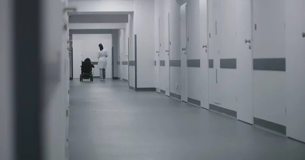 女性医師は診療所の廊下を歩き 身体障害のある女性に相談する 医師は電動車椅子の患者との医療処置について話します 近代医療施設の回廊について — ストック写真