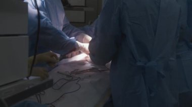 Cerrahi giysili profesyonel cerrahlar hastalarını ameliyat ederken kapatın. Hemşire doktorlara aletler veriyor ve emici pamuğu değiştiriyor. Kadın doktor monitörde hastanın durumunu kontrol ediyor..