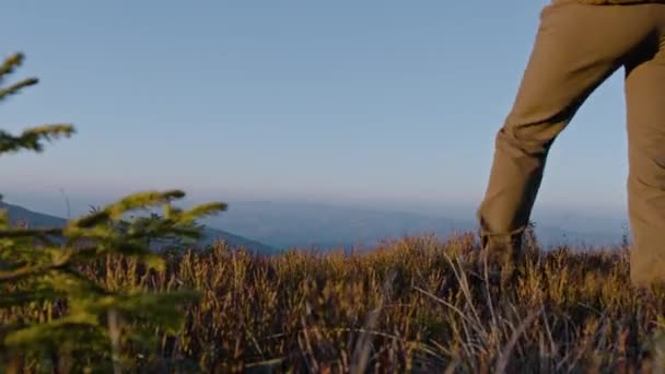 Turistický Pár Procházka Krásné Horské Údolí Žena Cestovatel Afroameričan Muž — Stock video