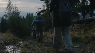 Sırt çantalı turistlerin ve tepe yamaçlarında yürüyüş direkleri olan turistlerin arka görüntüsü. Bir grup yürüyüşçü ya da dağlarda sonbahar gezisinde yürüyüş arkadaşı. Aktif eğlence ve turizm konsepti.