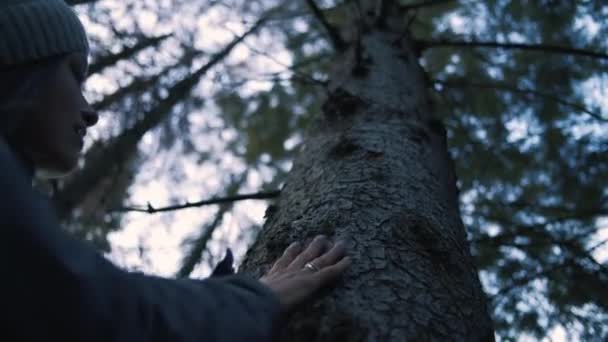 Λευκή Γυναίκα Στέκεται Στο Δάσος Αγγίζει Και Κοιτάζει Δέντρο Τουριστικό — Αρχείο Βίντεο