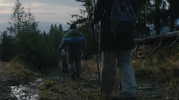 Sırt Çantalı Turistlerin Tepe Yamaçlarında Yürüyüş Direkleri Olan Turistlerin Arka — Stok video