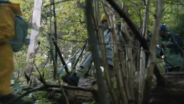 一群带着远足杆和背包的游客走过了原木 徒步旅行或远征山中的伙伴 在美丽的森林里躺着潮湿的木头 旅游业和户外探险 — 图库视频影像