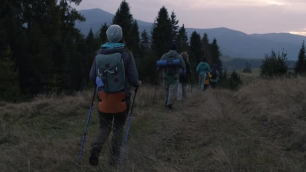 Sırt Çantalı Sırıkla Ormanda Ailesiyle Birlikte Yürüyen Genç Bir Kız — Stok video