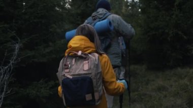 Sırt çantası ve yürüyüş direkleri olan genç bir kızın ormanda yürüme sahnesini takip ediyoruz. Dağlarda yürüyüş yapan bir grup yürüyüşçü veya turist. Açık hava aktiviteleri ve seyahat. Yavaş çekim.