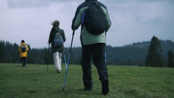 Groep Toeristen Met Rugzakken Trekking Stokken Lopen Langs Het Pad — Stockvideo