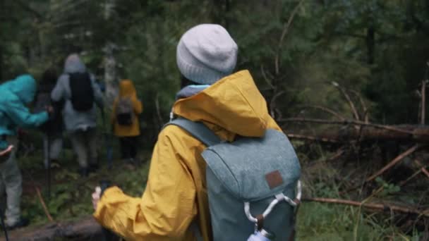 Sırt Çantalı Yürüyüş Direkleriyle Gezen Turistlerin Güzel Ormanlarda Yürüdükleri Sahneleri — Stok video