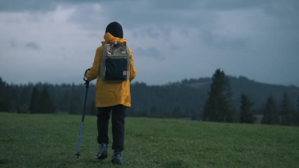 Молодий Турист Пішохідними Полюсами Рюкзаками Прогулюється Вершині Прекрасного Пагорба Група — стокове відео