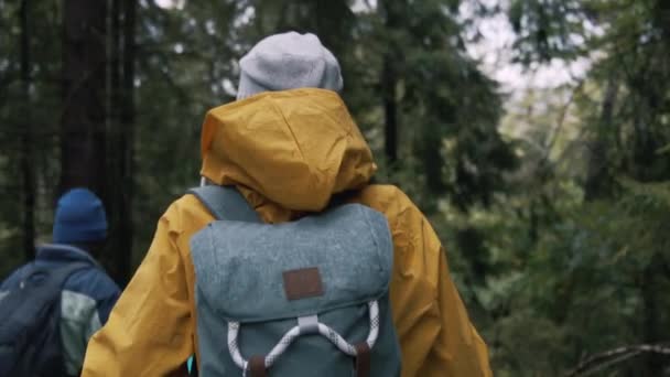 Seguire Scatto Diversi Escursionisti Con Zaini Bastoncini Trekking Che Percorrono — Video Stock