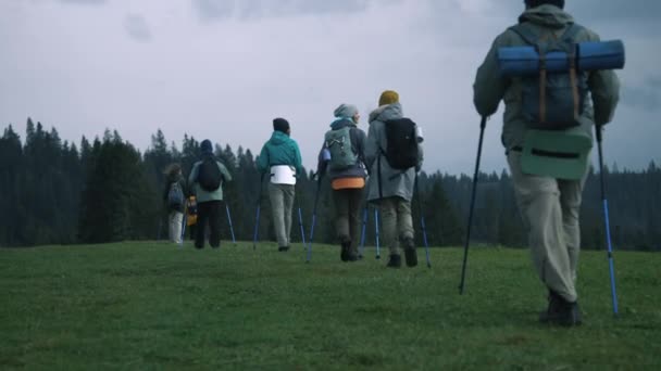 Група Туристів Рюкзаками Пішохідними Полюсами Йде Стежці Красивому Гірському Пагорбі — стокове відео