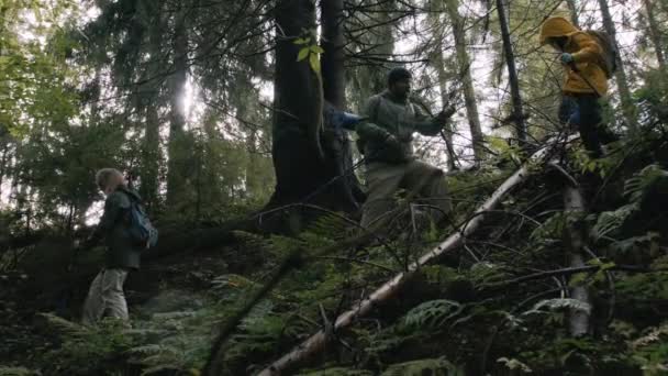 Grupo Entusiastas Livre Com Mochilas Postes Trekking Caminhar Bela Floresta — Vídeo de Stock