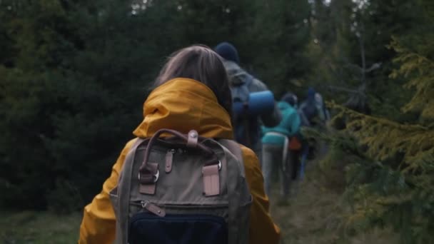 白种人夫妇站在森林的树间 看着镜头 旅游家庭在远足或登山度假时 一群多种族的徒步旅行者在背景中行走 户外爱好者 — 图库视频影像