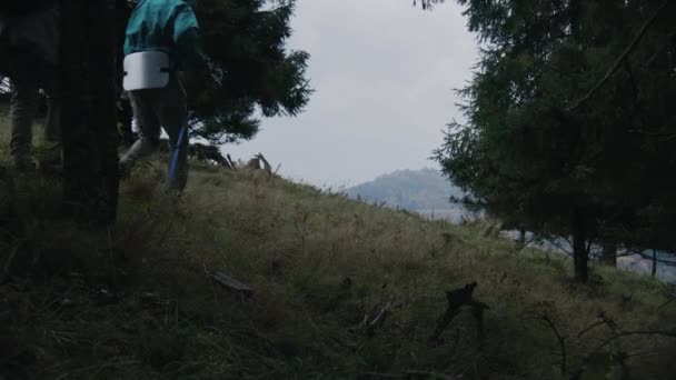 Sırt Çantalı Yürüyüş Direkli Genç Turist Takımı Güzel Orman Tepesinde — Stok video