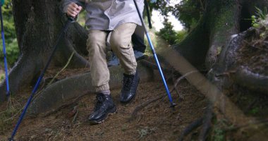 Sırt çantaları ve yürüyüş direkleriyle gezen genç turist grupları güzel ormanlarda yol boyunca yürüyorlar. Yürüyüşçüler doğa güzelliğini keşfeder. Turizm ve açık hava keşfi kavramı. Düşük açılı çekim.
