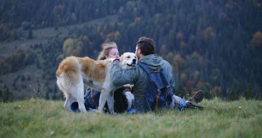 Beyaz yürüyüşçüler tepede oturur, telefonla fotoğraf çeker, evcil hayvanlarla oynar ve yerel köpeklerle oynarlar. Yürüyüş sırasında ya da sonbaharda dağlarda yürüyüş yaparken bir turist ailesi. Açık hava eğlencesi ve seyahat.