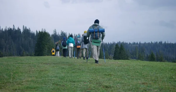 Grupo Turistas Con Mochilas Bastones Trekking Caminan Largo Del Sendero — Foto de Stock