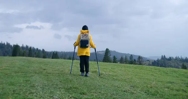 Tourist with trekking poles and backpack stands on top of hill and admires amazing scenery. Traveler stopped to rest after long walking trek on mountains. Nature discovery. Slow motion. Back view.