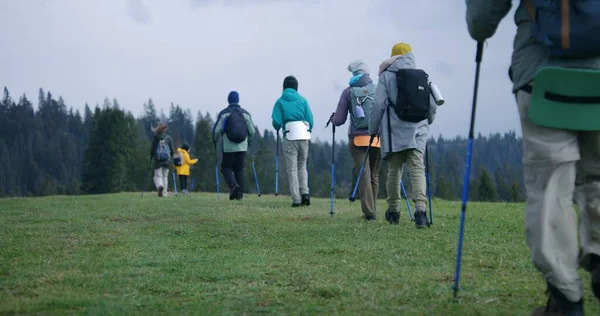 Group of tourists with backpacks and trekking poles walk along trail on beautiful mountain hill. Hikers discover amazing nature landscapes. Tourism and active leisure concept. Slow motion. Back view.