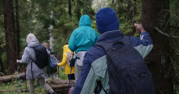 Ujęciu Różnych Turystów Plecakami Kijkami Trekkingowymi Spacerujących Wzdłuż Szlaku Pięknym — Zdjęcie stockowe