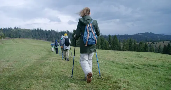 Grupa Turystów Plecakami Kijkami Trekkingowymi Spaceruje Szlakiem Pięknym Górskim Wzgórzu — Zdjęcie stockowe