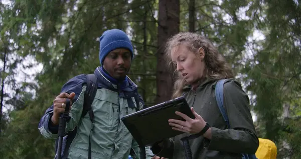 Two diverse travelers discuss trail way using tablet computer in forest. Hiking buddies with backpacks and trekking poles stop to rest during trek. Concept of tourism and active leisure. Slow motion.
