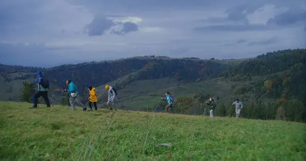 Group of travelers with backpacks and trekking poles walking along trail on beautiful mountain hill. Outdoor enthusiasts discover amazing nature scenery. Concept of tourism and outdoor exploration.