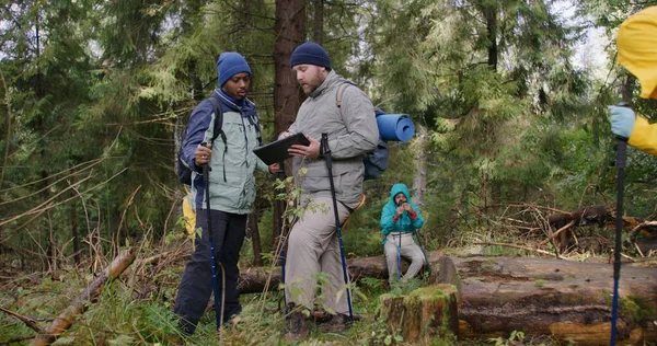 Two multiethnic tourists discuss trail way using tablet computer in forest. Travelers with backpacks and trekking poles stop to rest during hike. Concept of nature discovery and tourism. Slow motion.