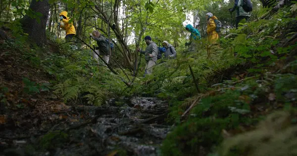 Diverse group of tourists with backpacks and trekking poles walk along trail. Outdoor enthusiasts discover amazing nature beauty. Clear stream flows in beautiful forest. Slow motion. Low angle shot.
