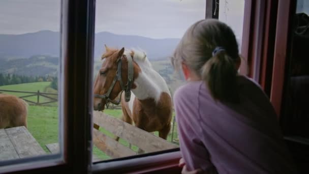 Barnet Står Nära Fönstret Och Tittar Bedårande Hästar Betar Gräsmattan — Stockvideo