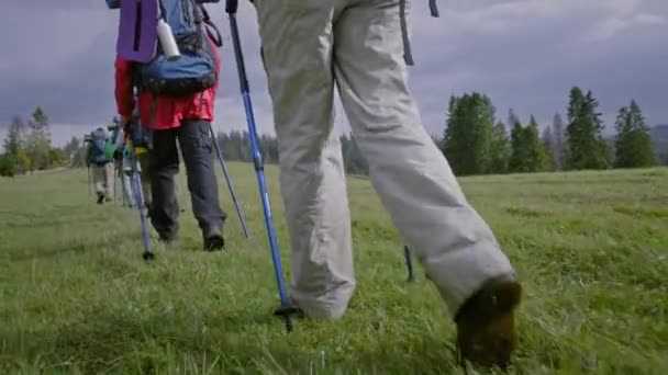 Záběru Skupiny Poutníků Trekkingovými Tyčemi Kráčejícími Stezce Horách Turistika Kamarádi — Stock video