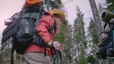 Dişi turist güzel ormanda patika boyunca yürür. Bir grup açık hava meraklısı tatilde sırt çantalı ve sırıkla yürüyüş yapıyor. Doğa keşfi ve aktif eğlence kavramı. Düşük açı.