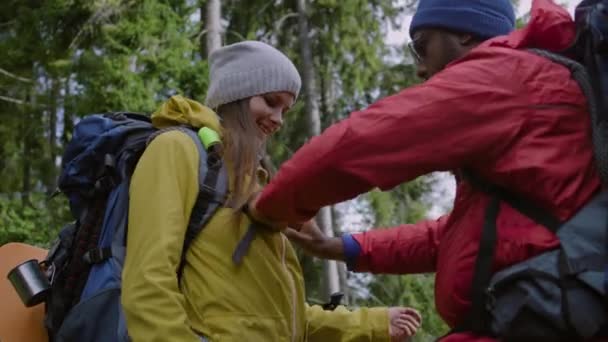 アフリカ系アメリカ人観光客は 女性のハイキングバディがバックパックから脱出するのを助けます 旅行者のカップルは 美しい森での長い探検の後に休むために停止します 自然発見とアクティブレジャーのコンセプト — ストック動画