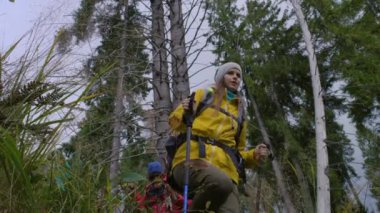 Sırt çantaları ve yürüyüş direkleri olan çeşitli yürüyüşçü grupları güzel ormanlarda yol boyunca yürürler. Yürüyüş sırasında turistler veya dağlarda bir keşif gezisi. Doğa keşfi ve turizm kavramı. Yavaş çekim.