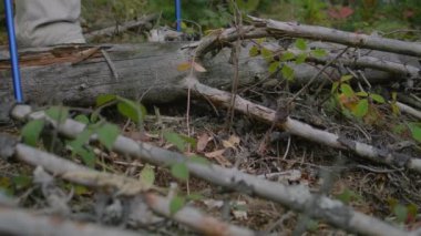 Güzel ormanda uzanan odunları yakından çek. Bir grup turist yürüyüş direkleri ile birlikte kütüklerin üzerinden yürüyorlar. Yürüyüş sırasında ya da dağlarda gezinti yaparken. Doğa keşfi kavramını. Yavaş çekim.