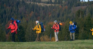 Yürüyüş direkleri ve sırt çantalarıyla ormanda kampa giden bir sürü yürüyüş arkadaşı. Yürüyüş sırasında ya da dağlara yolculuk sırasında bir grup turist. Doğa keşfi ve turizm kavramı.