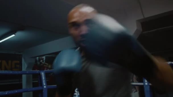 Афроамериканец Боксёрских Перчатках Бьёт Перчатки Время Тренировки Боксу Профессиональный Боксер — стоковое видео