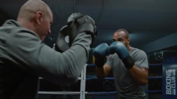Boxeador Afroamericano Guantes Boxeo Ejercicios Con Entrenador Antes Luchar Contra — Vídeos de Stock