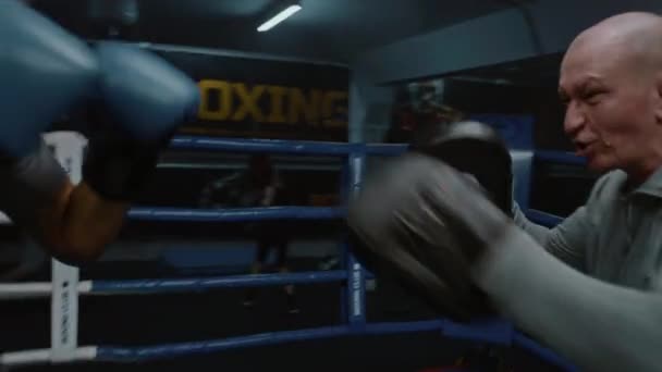 Atlético Afroamericano Con Guantes Boxeo Golpea Las Manoplas Durante Entrenamiento — Vídeos de Stock