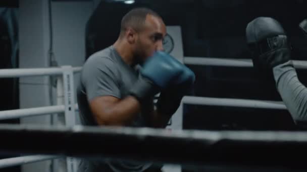African American Man Boxningshandskar Träffar Slagvantar Träningen Boxningsringen Professionell Manliga — Stockvideo