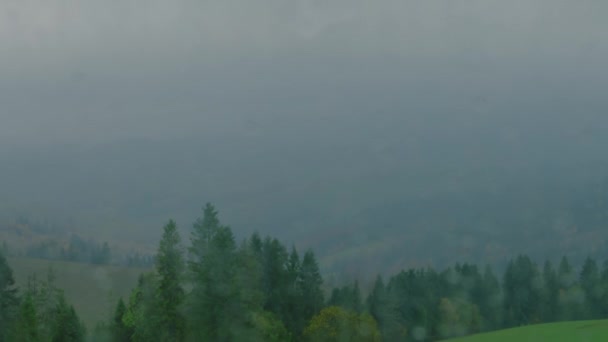 Tolle Aussicht Auf Neblige Berge Grüne Wiesen Und Waldkulissen Aus — Stockvideo