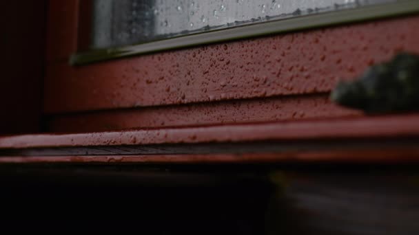 窓の霧のガラスそして郊外か田舎の家の外の木の窓フレームの雨のショットを閉めて下さい 秋の風 湿った天気 自然の美しさ — ストック動画