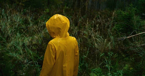Cinematic shot of young traveler in yellow raincoat walking in the rainy coniferous forest during expedition to the mountains. Girl touches grass on wet log in woods. Nature discovery. Slow motion.