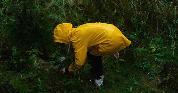 Cinematic Shot Young Traveler Yellow Raincoat Walking Rainy Coniferous Forest — Stock Photo, Image