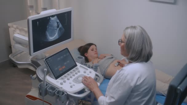 Kadın Doktor Dijital Monitörlü Ultrason Cihazı Kullanarak Mide Kadın Hastaları — Stok video