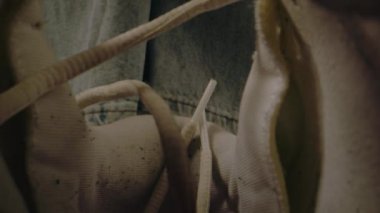 Asyalı genç kız spor ayakkabılarını alır ve onu koklar. Spor salonundaki eğitimden ya da koşu antrenmanından sonra kokuşmuş genç kız ayakkabıları. Genç, arkadaşlarıyla yürüyüşe hazırlanıyor ve ayakkabılarını kontrol ediyor. Kapat..