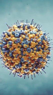 İnsan vücudunda bir virüsün 3 boyutlu görüntüsü. Animasyon maymun çiçeği, kovid 19 ya da diğer bulaşıcı hastalıkları sunmak için kullanılabilir. Dikey çekim