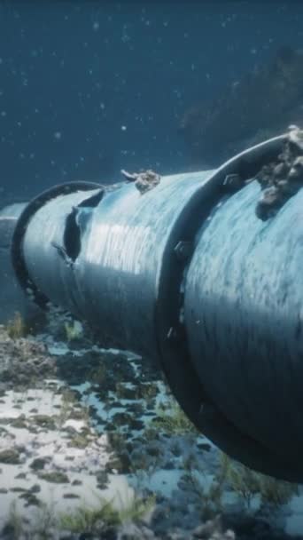 3D展示了波罗的海水下北溪2号天然气管道的爆炸 坏了的管子垂直射击 — 图库视频影像