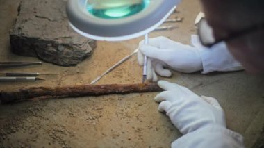 Kıdemli arkeolog profesyonel aletlerle lambanın altında fosil antik ahşap mızrak temizliyor. Bilim adamı nesli tükenmiş medeniyetin silah kalıntılarını araştırıyor, arkeoloji laboratuvarında çalışıyor. Kapat..