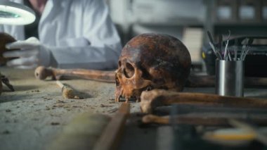 Arkeoloji laboratuvarı: Nesli tükenmiş tarih öncesi insanların fosil kafatası ve profesyonel aletler masada. Arka planda, arkeolog veya bilim adamı büyüteç kullanarak kemik kalıntıları üzerinde çalışıyor..